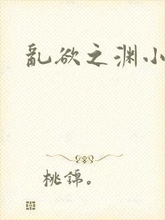 乱欲之渊小说封面