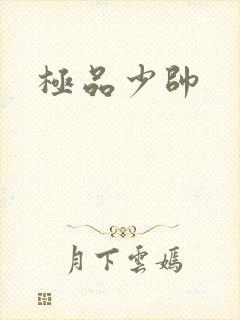 极品少帅