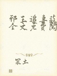 邪王追妻苏小暖全文免费阅读