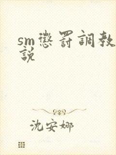 sm惩罚调教小说