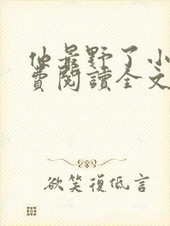 他最野了小说免费阅读全文