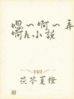 嗯～啊～弄嗯～啊h小说