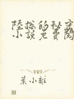 陆总的秘密恋人小说免费阅读