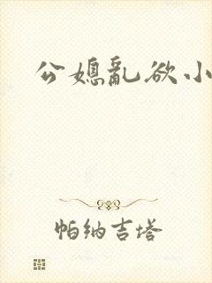 公媳乱欲小说
