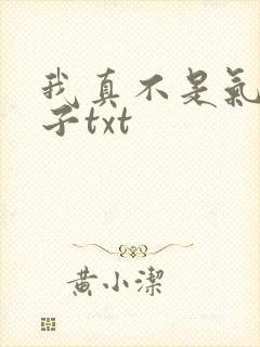 我真不是气运之子txt