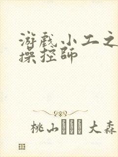 游戏小工之元素操控师封面