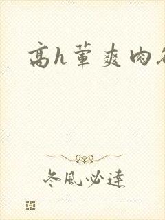 高h荤爽肉欲文