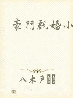 豪门戏婚小说
