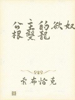 公主的欲奴h四根双龙