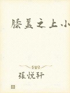 膝盖之上小说