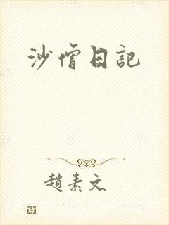 沙僧日记封面