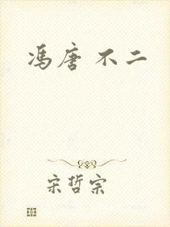 冯唐 不二封面