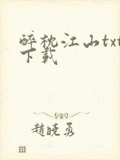 醉枕江山txt下载封面