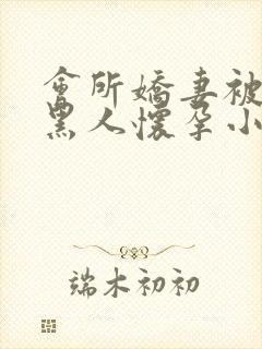 会所娇妻被多个黑人怀孕小说封面