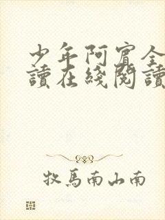 少年阿宾全文阅读在线阅读全文