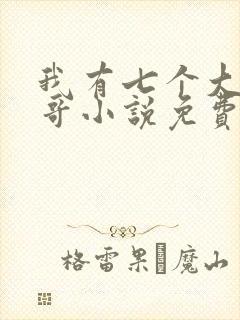 我有七个大佬哥哥小说免费阅读无弹窗