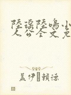 陆瑶陆鸣小说主人公全文免费阅读笔趣阁封面