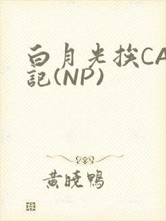 白月光挨CAO记(NP)封面