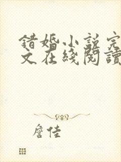 错婚小说完结全文在线阅读