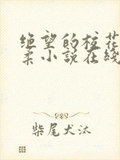 绝望的校花程雨柔小说在线阅读封面