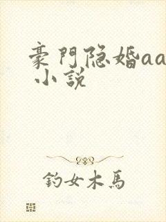 豪门隐婚aa制 小说