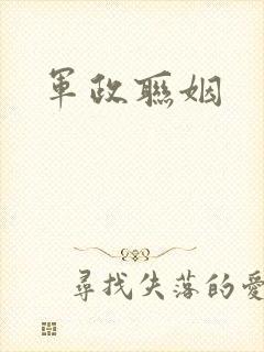 军政联姻封面