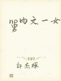 np肉文一女多男封面