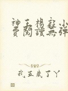 神王杨毅小说免费阅读无弹窗