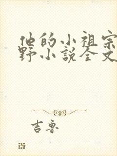 他的小祖宗甜又野小说全文