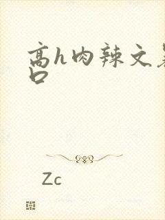 高h肉辣文暴粗口