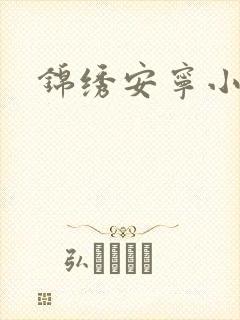 锦绣安宁小说
