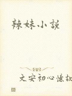 辣妹小说