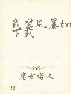 武装风暴txt下载封面