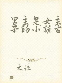 男主是女主小叔子的小说古文