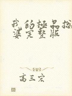 我的极品总裁老婆完整版