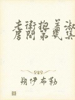 老卫抱着淑蓉进房间第几集
