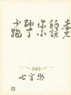 少帅你的老婆又跑了小说免费阅读