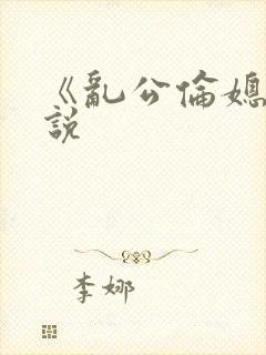 《乱公伦媳》小说