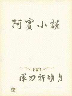阿宾小说