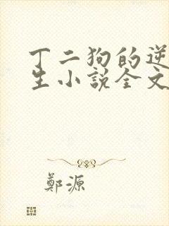 丁二狗的逆袭人生小说全文阅读
