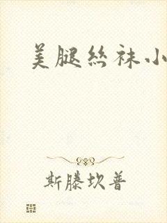 美腿丝袜小说