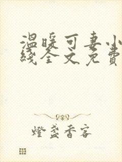 温暖可妻小说在线全文免费阅读