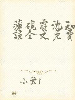 薄砚霆沈知意小说全文免费阅读
