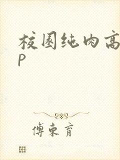校园纯肉高hnp