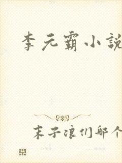 李元霸小说封面