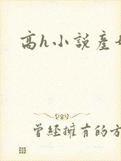 高h小说产奶