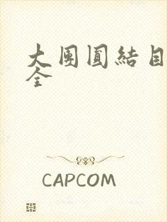 大团圆结目录大全封面