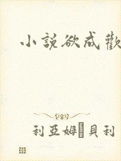 小说欲成欢