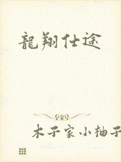 龙翔仕途