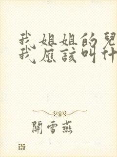 我姐姐的儿子,我应该叫什么